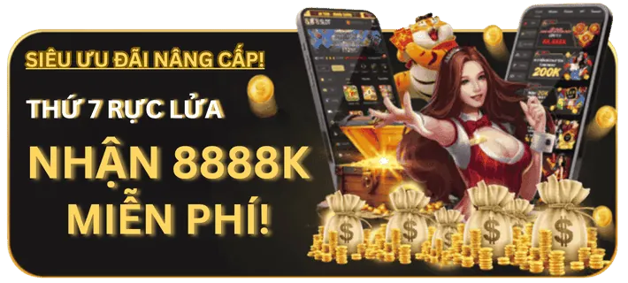 Chương trình VIP FVE88